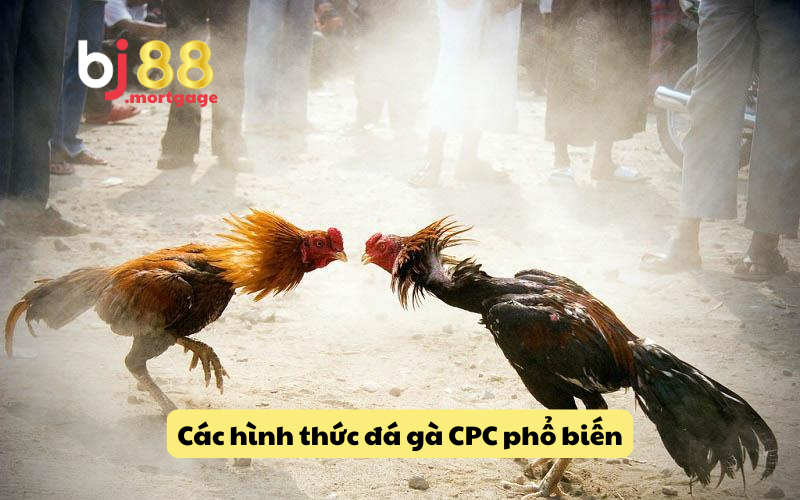Hướng dẫn chi tiết các tham gia đá già CPCPC