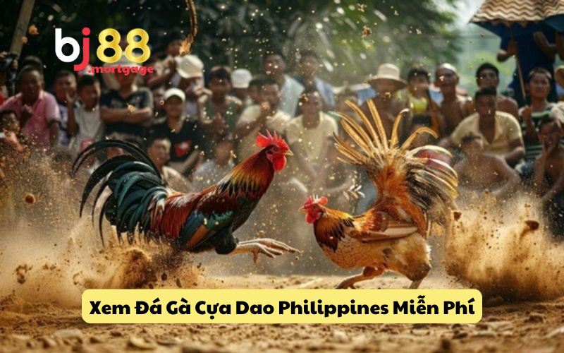 Tổng quan về đá gà cựa dao philippines